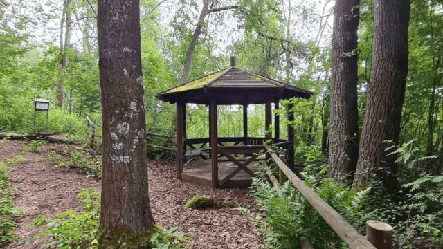 Tapahtuman/harrastuksen kuva