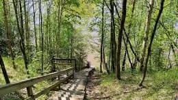 Tapahtuman/harrastuksen kuva