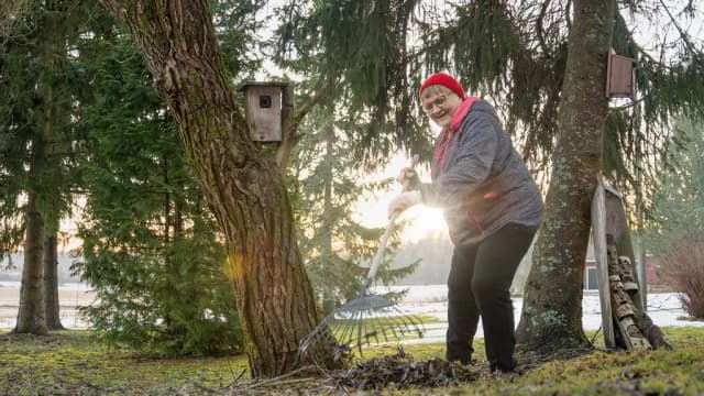 Tapahtuman/harrastuksen kuva