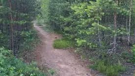 Tapahtuman/harrastuksen kuva