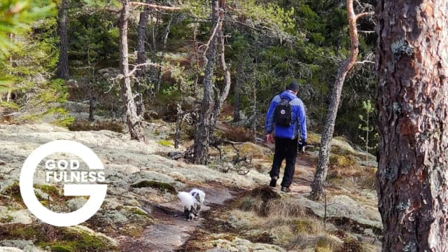 Tapahtuman/harrastuksen kuva